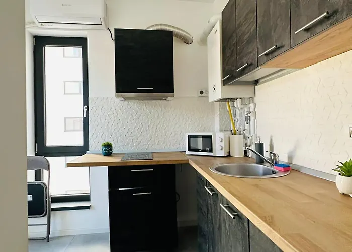 & Studiouri Calypso 公寓 艾福雷诺德